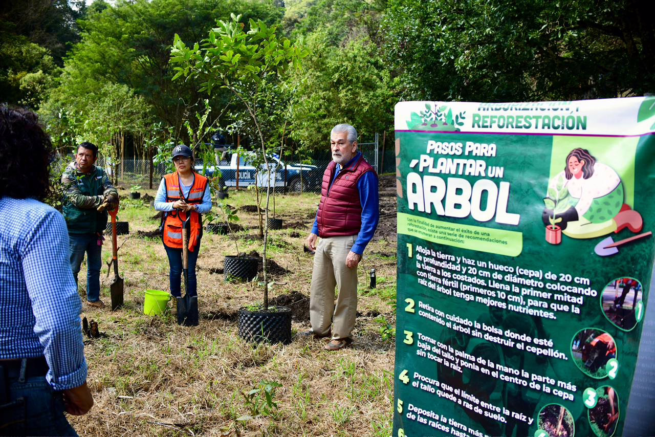Encabeza Alberto Islas Jornada de Reforestación y Arborización en El Vallecito