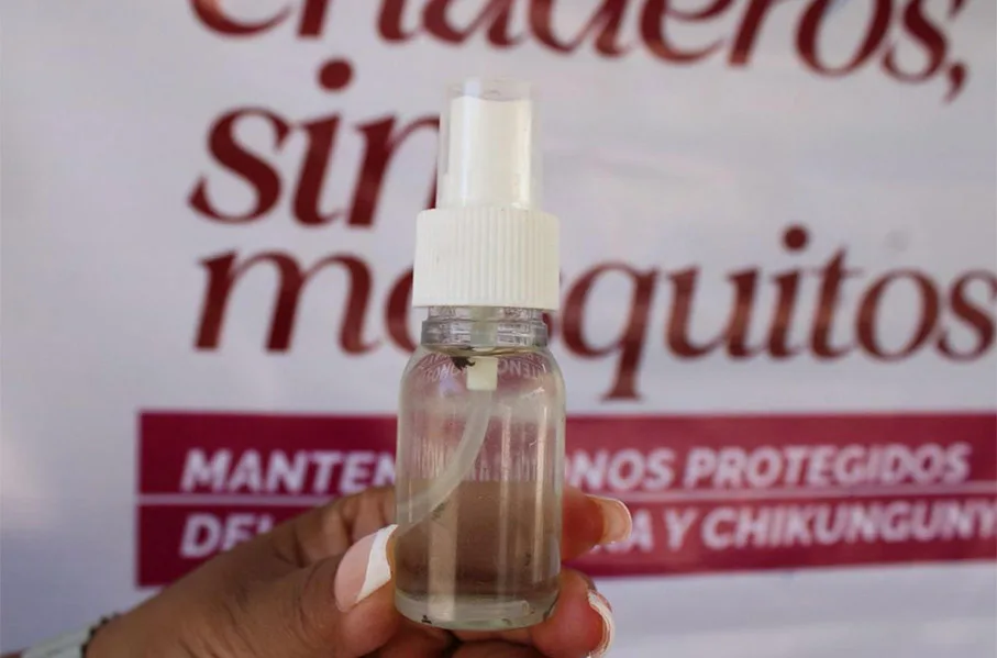 Dengue